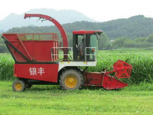 自走式青儲機你選對了嗎？銀豐青儲機好品質